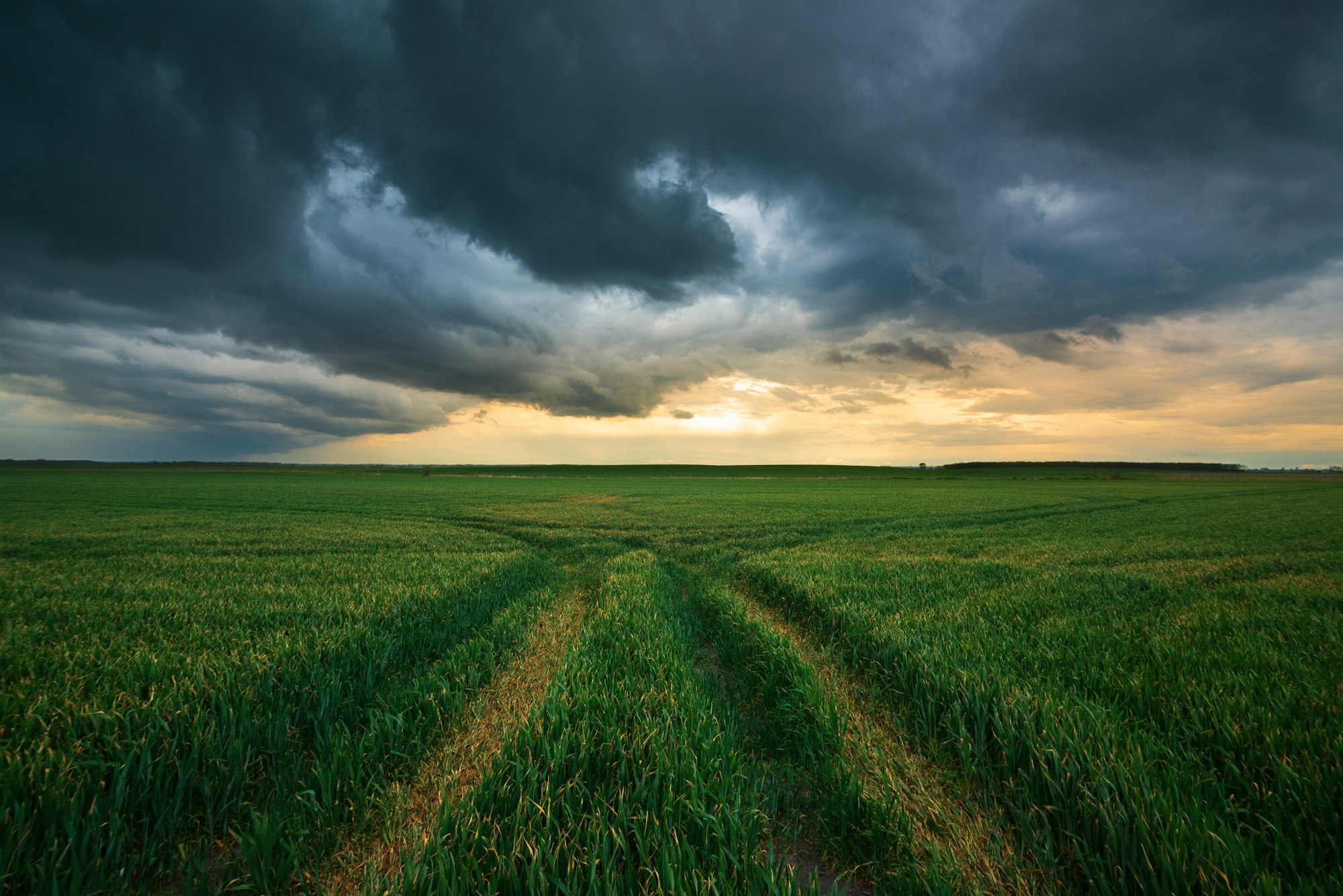 Stormy field